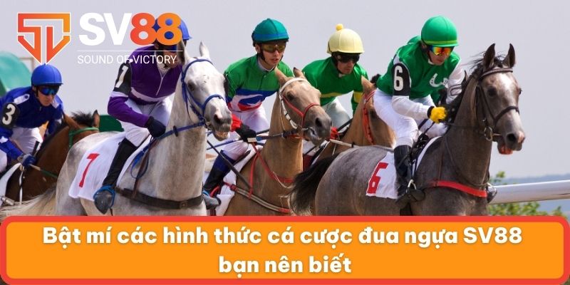 Bật mí các hình thức cá cược đua ngựa SV88 bạn nên biết