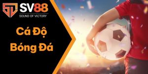 Cá Độ Bóng Đá Để Kiếm Tiền Lớn? Câu Trả Lời Thỏa Đáng Nhất