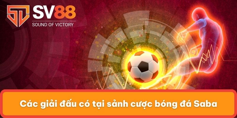 Các giải đấu có tại sảnh cược bóng đá Saba