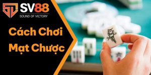 Hướng Dẫn Cách Chơi Mạt Chược Từ A - Z Đầy Đủ, Chi Tiết Nhất