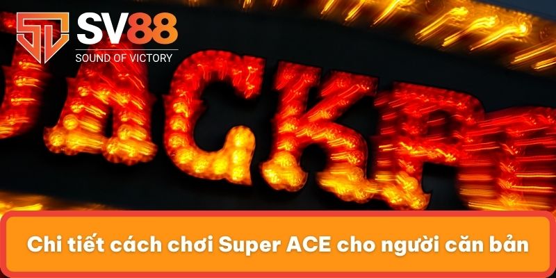 Chi tiết cách chơi Super ACE cho người căn bản