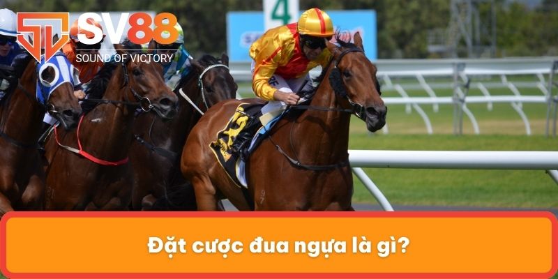 Đặt cược đua ngựa là gì?