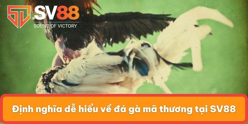 Định nghĩa dễ hiểu về đá gà mã thương tại SV88
