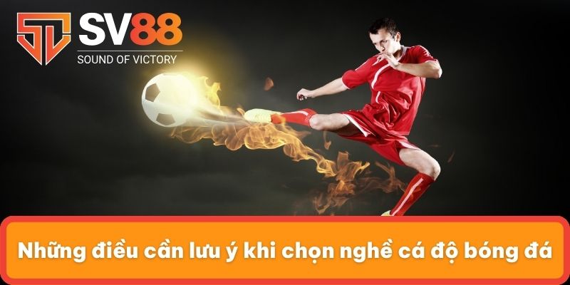 Những điều cần lưu ý khi chọn nghề cá độ bóng đá