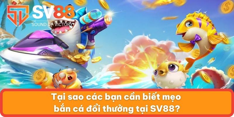 Tại sao các bạn cần biết mẹo bắn cá đổi thưởng tại SV88?